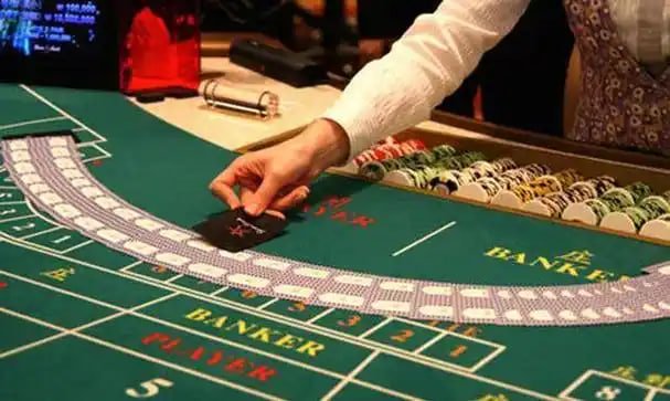215 bet